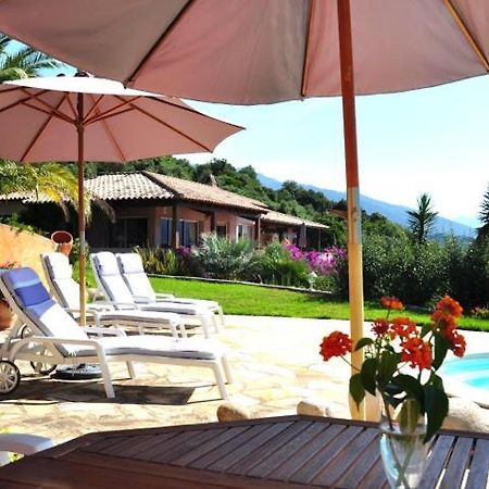 Villa Vetricella Corse Sud 奥尔梅托 外观 照片