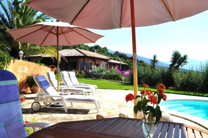 Villa Vetricella Corse Sud 奥尔梅托 外观 照片
