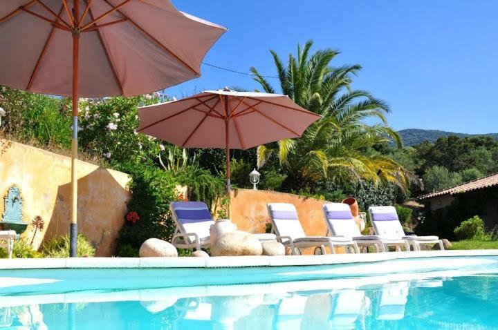 Villa Vetricella Corse Sud 奥尔梅托 外观 照片