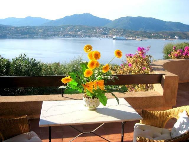 Villa Vetricella Corse Sud 奥尔梅托 外观 照片