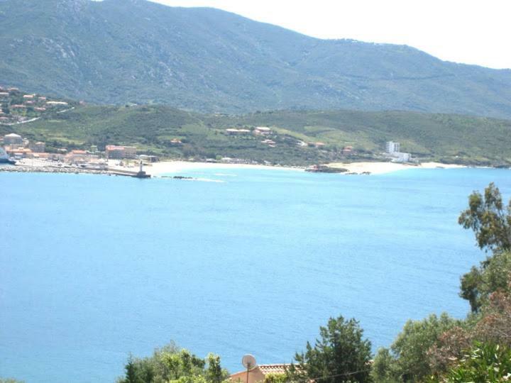 Villa Vetricella Corse Sud 奥尔梅托 外观 照片
