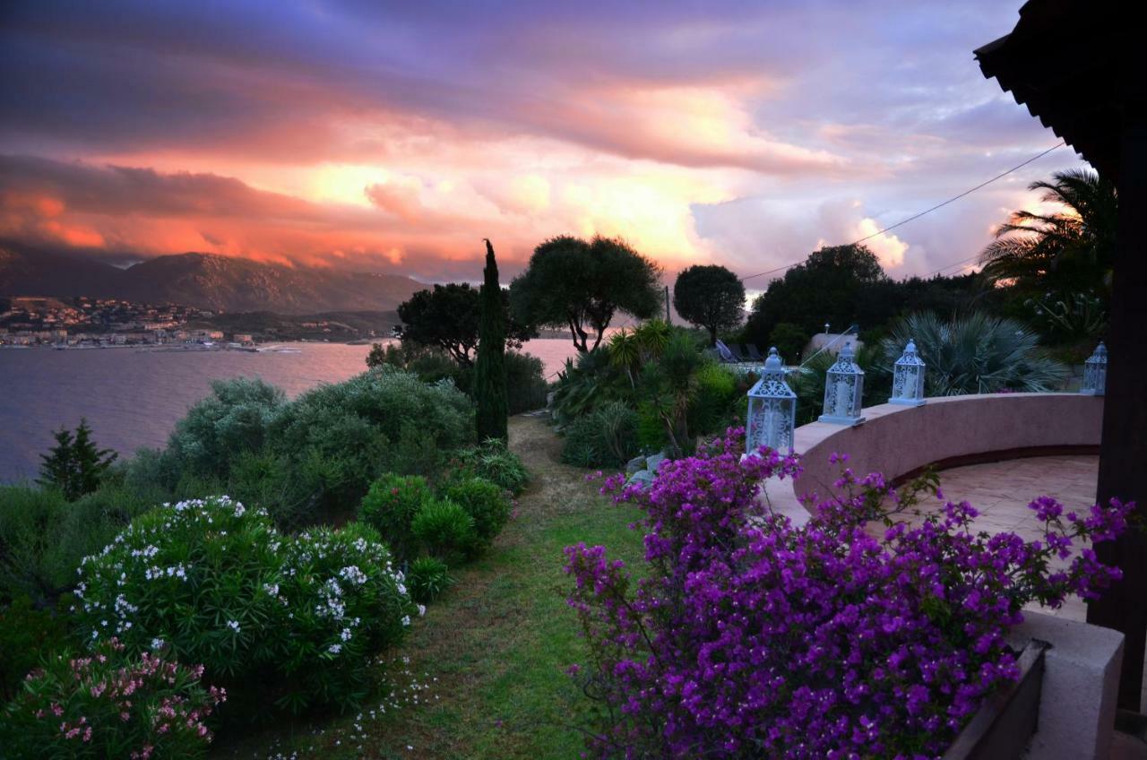 Villa Vetricella Corse Sud 奥尔梅托 外观 照片