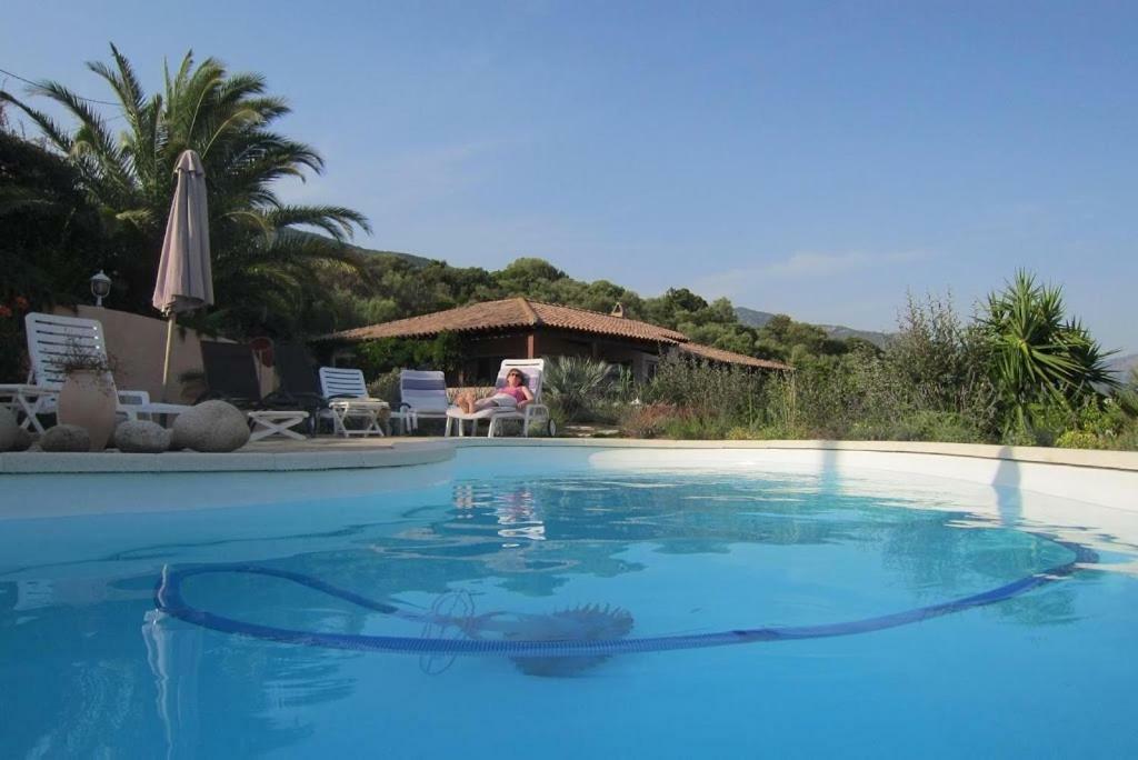 Villa Vetricella Corse Sud 奥尔梅托 外观 照片
