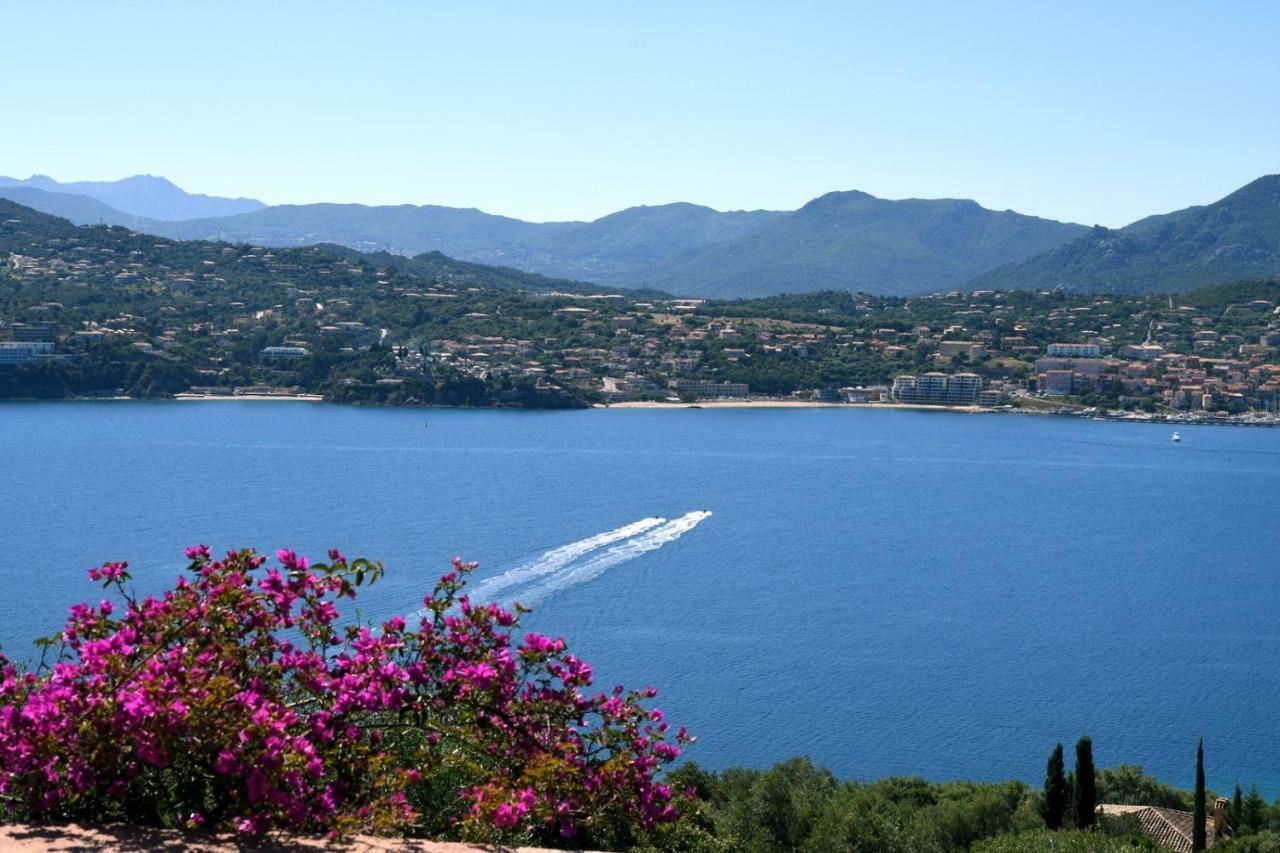 Villa Vetricella Corse Sud 奥尔梅托 外观 照片