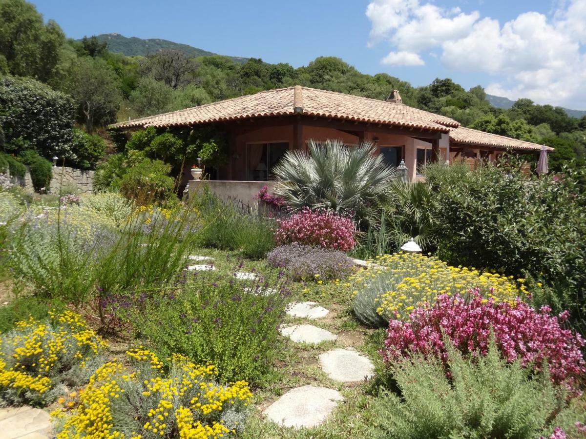 Villa Vetricella Corse Sud 奥尔梅托 外观 照片