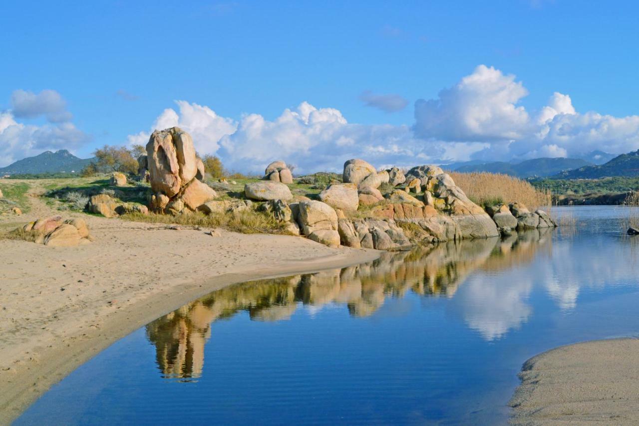 Villa Vetricella Corse Sud 奥尔梅托 外观 照片