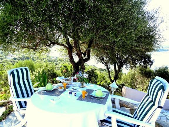 Villa Vetricella Corse Sud 奥尔梅托 外观 照片
