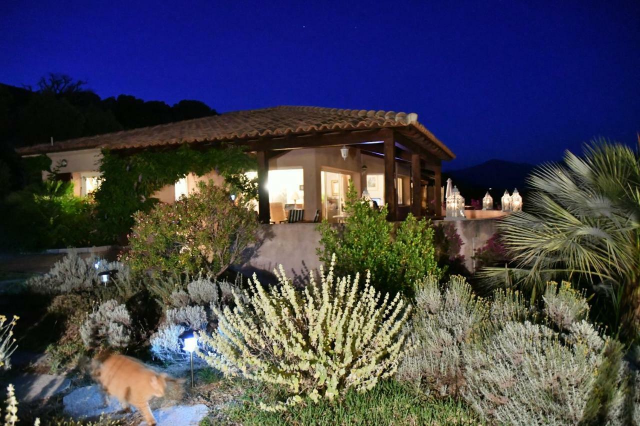 Villa Vetricella Corse Sud 奥尔梅托 外观 照片
